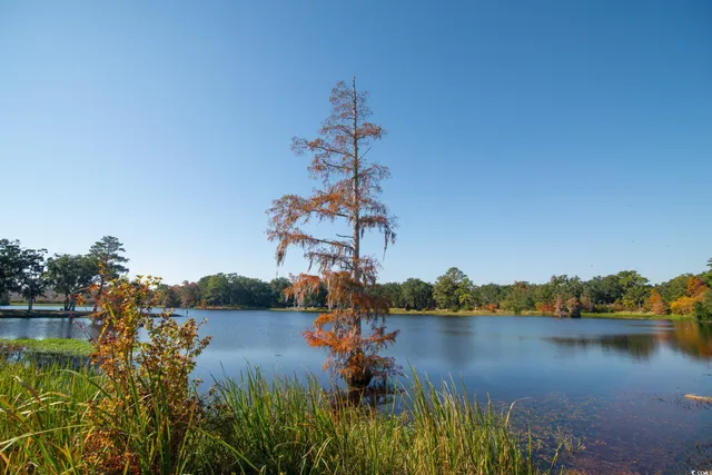 $434,500 | 63 Battery White Court, Unit 2C, Georgetown, SC 29440