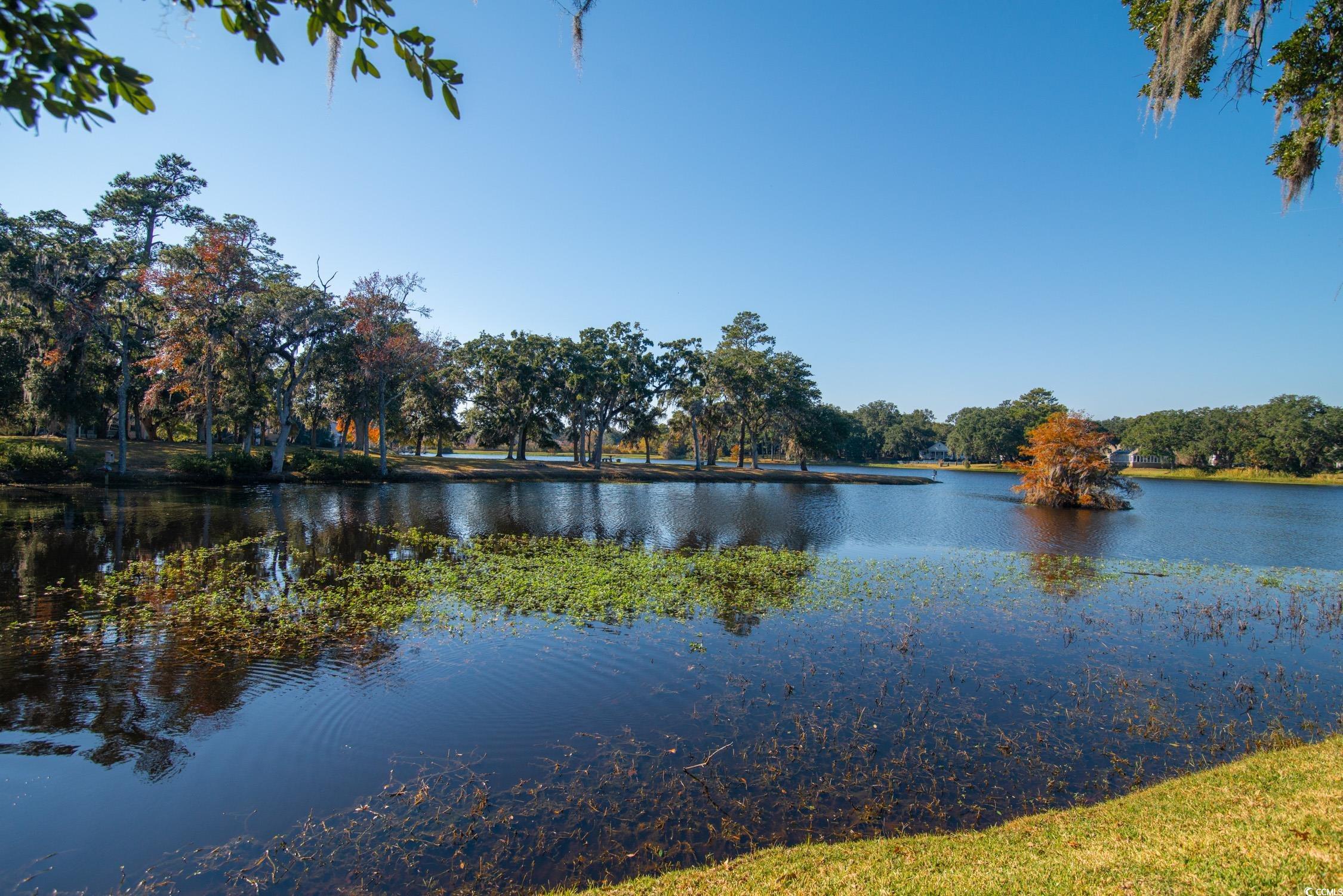63 Battery White Court, Unit 2C Georgetown, SC 29440 - Photo 33 of 38 Water view