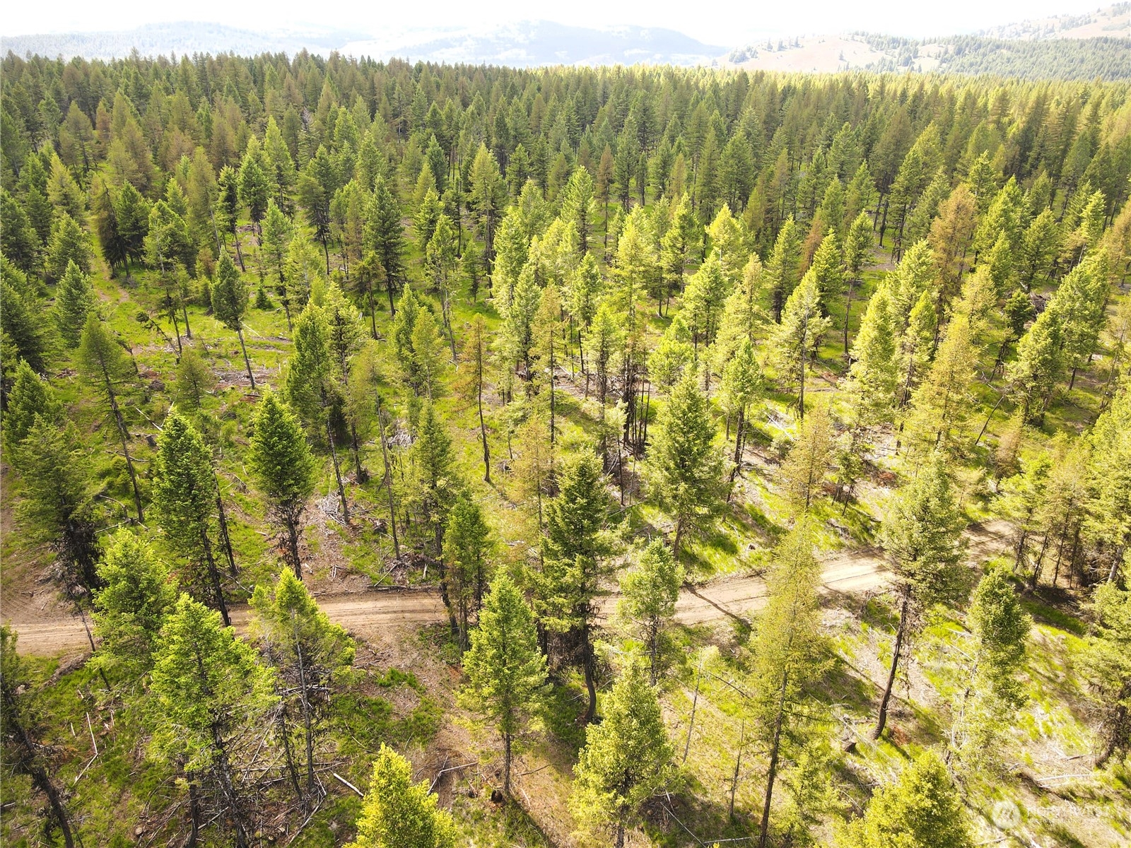 247-xx Prior Loop Road Oroville, WA 98844 - Photo 13 of 29