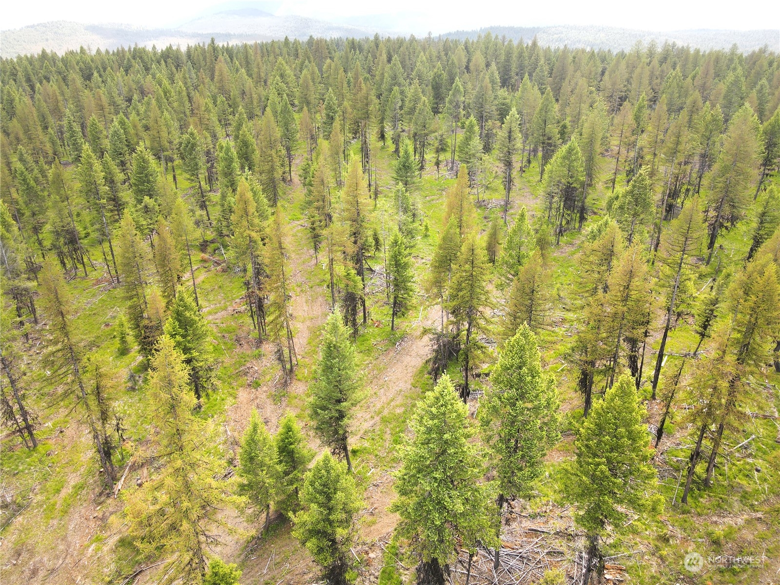247-xx Prior Loop Road Oroville, WA 98844 - Photo 16 of 29