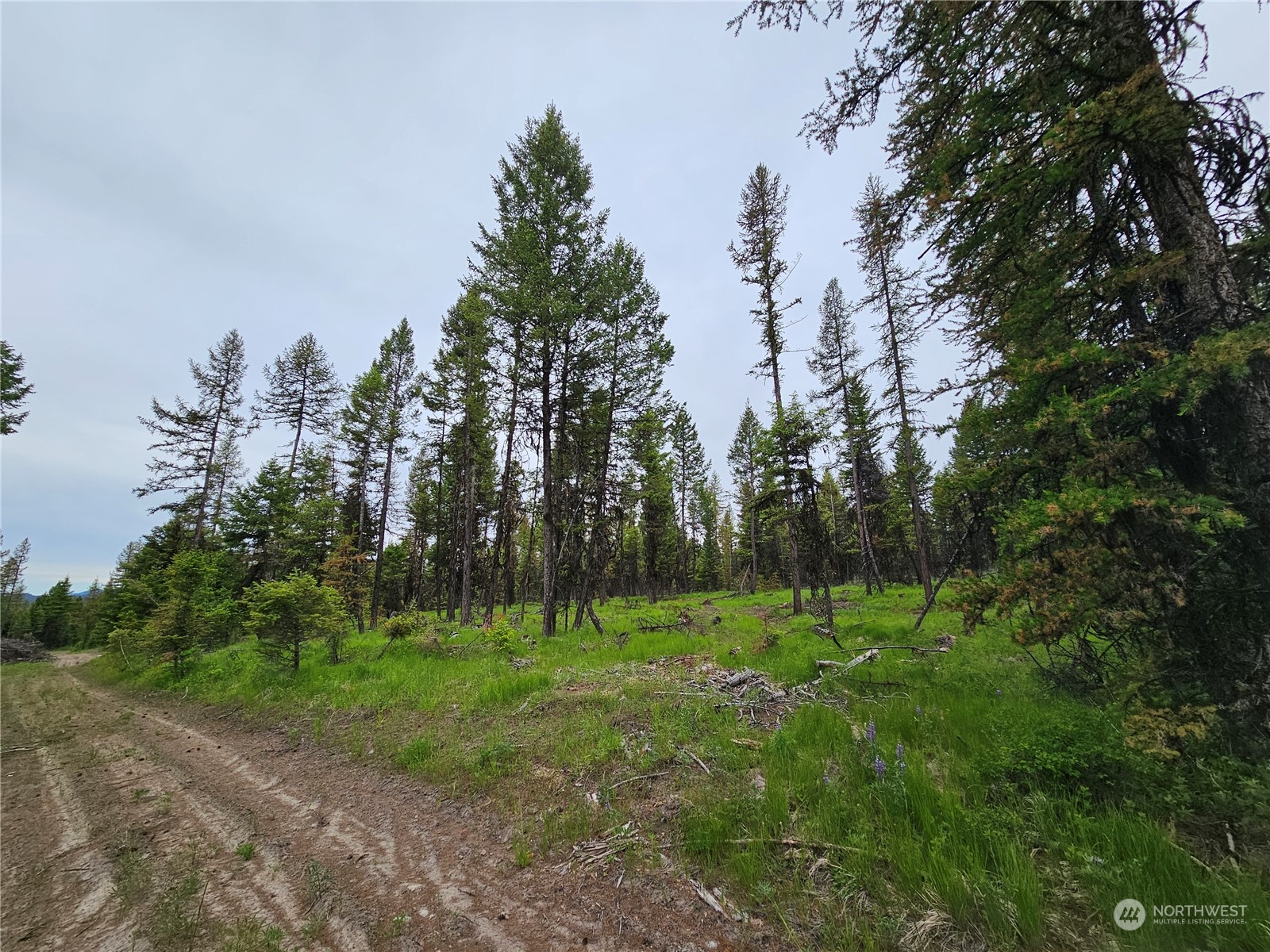 247-xx Prior Loop Road Oroville, WA 98844 - Photo 26 of 29