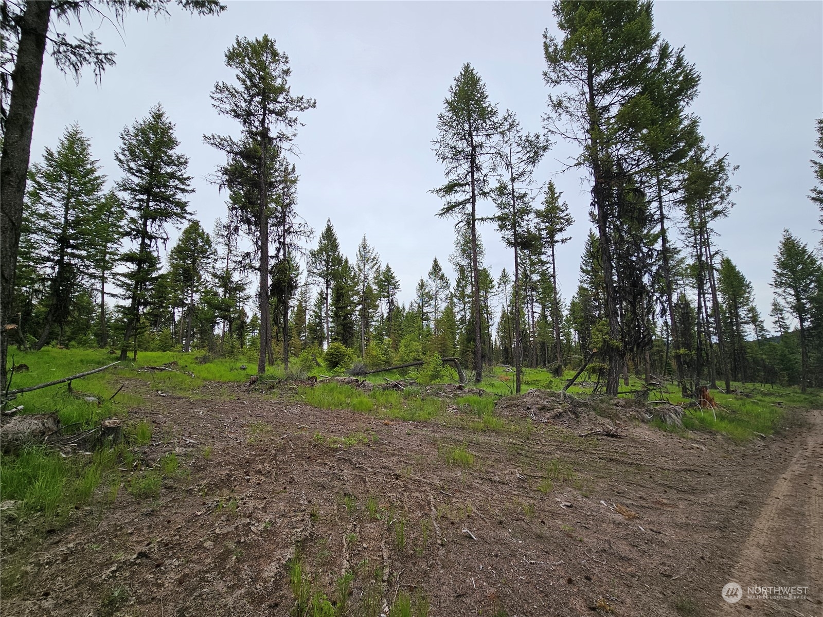 247-xx Prior Loop Road Oroville, WA 98844 - Photo 27 of 29