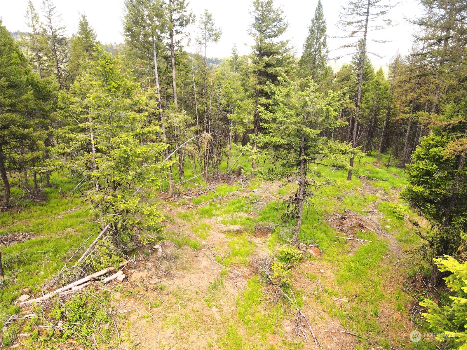 247-xx Prior Loop Road Oroville, WA 98844 - Photo 5 of 29