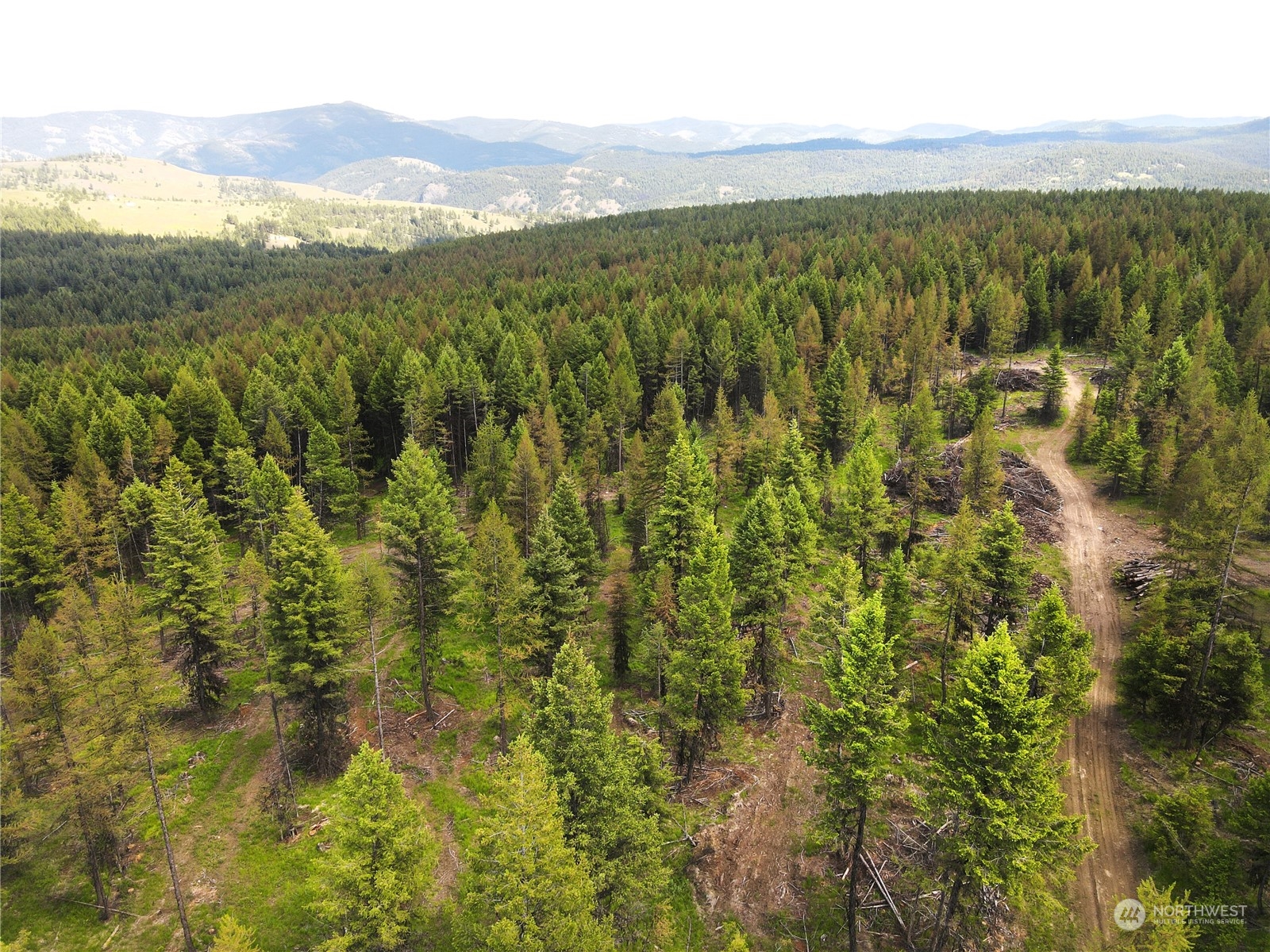 247-xx Prior Loop Road Oroville, WA 98844 - Photo 8 of 29