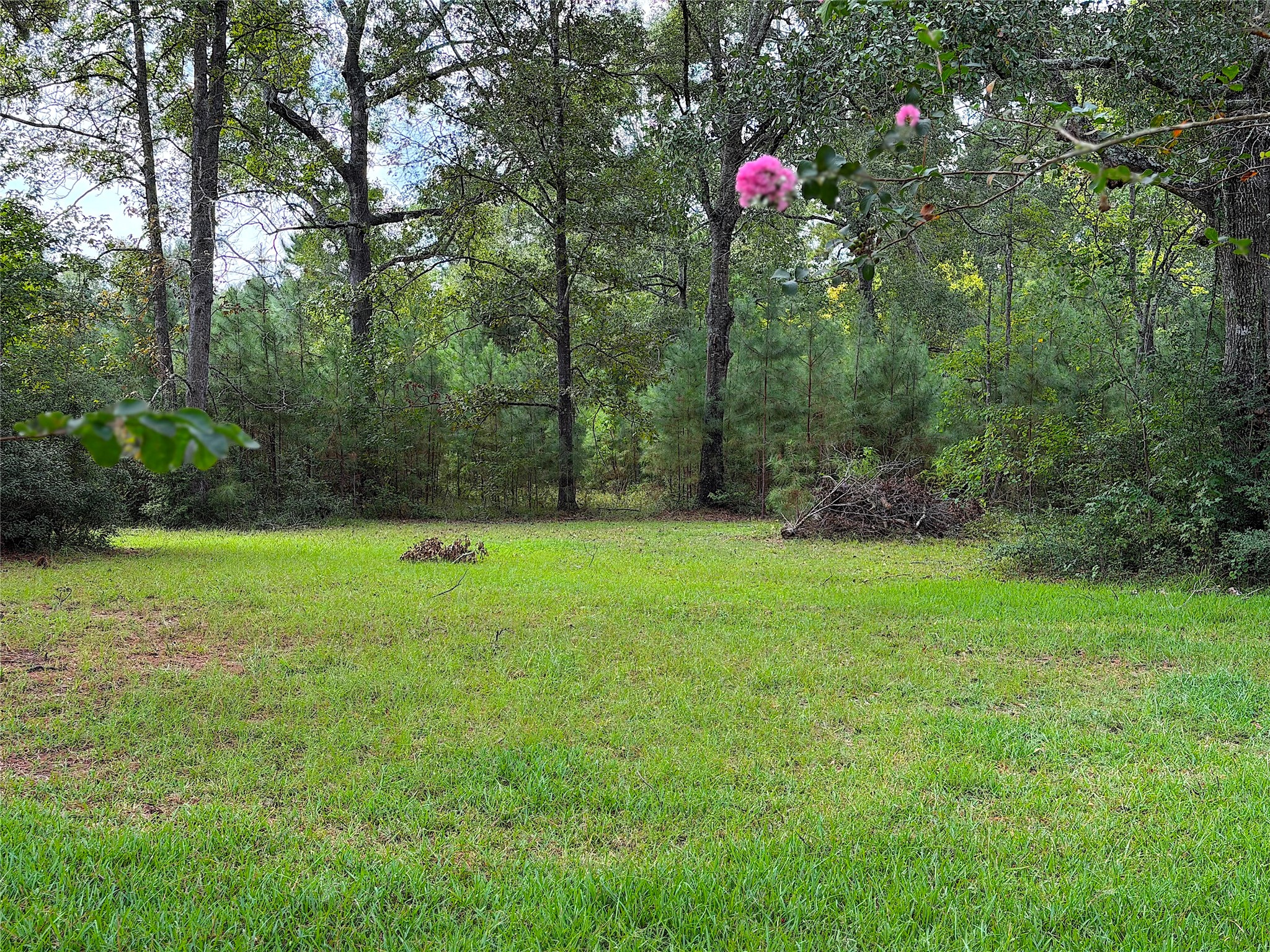 851 Oak Ridge Drive Cleveland, TX 77328 - Photo 6 of 24 Gallery Image 6