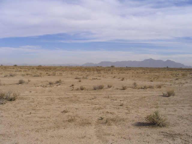 Primary Photo