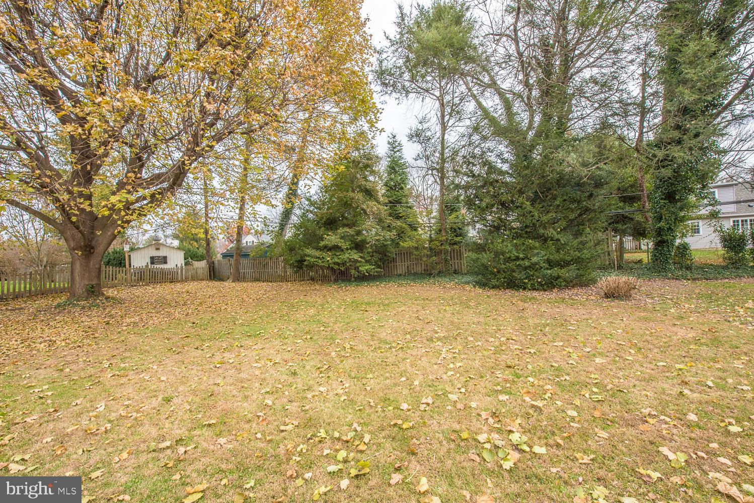 219 Wentworth Road Wayne, PA 19087 - Photo 32 of 32 Large Backyard
