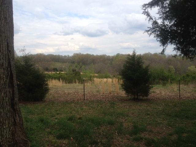 1245 Breeden Road Charlotte, TN 37036 - Photo 5 of 13 Plenty of pasture for your horses.