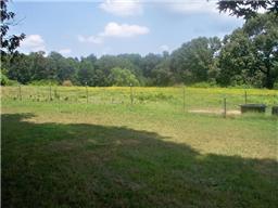 1245 Breeden Road Charlotte, TN 37036 - Photo 6 of 13 More pasture behind the home.