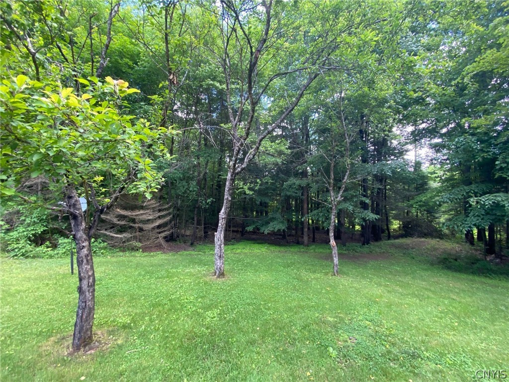 312 Mcclure Road Stratford, NY 13470 - Photo 29 of 34 Gallery Image 29