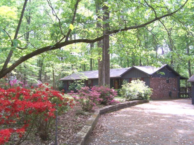 Main View
