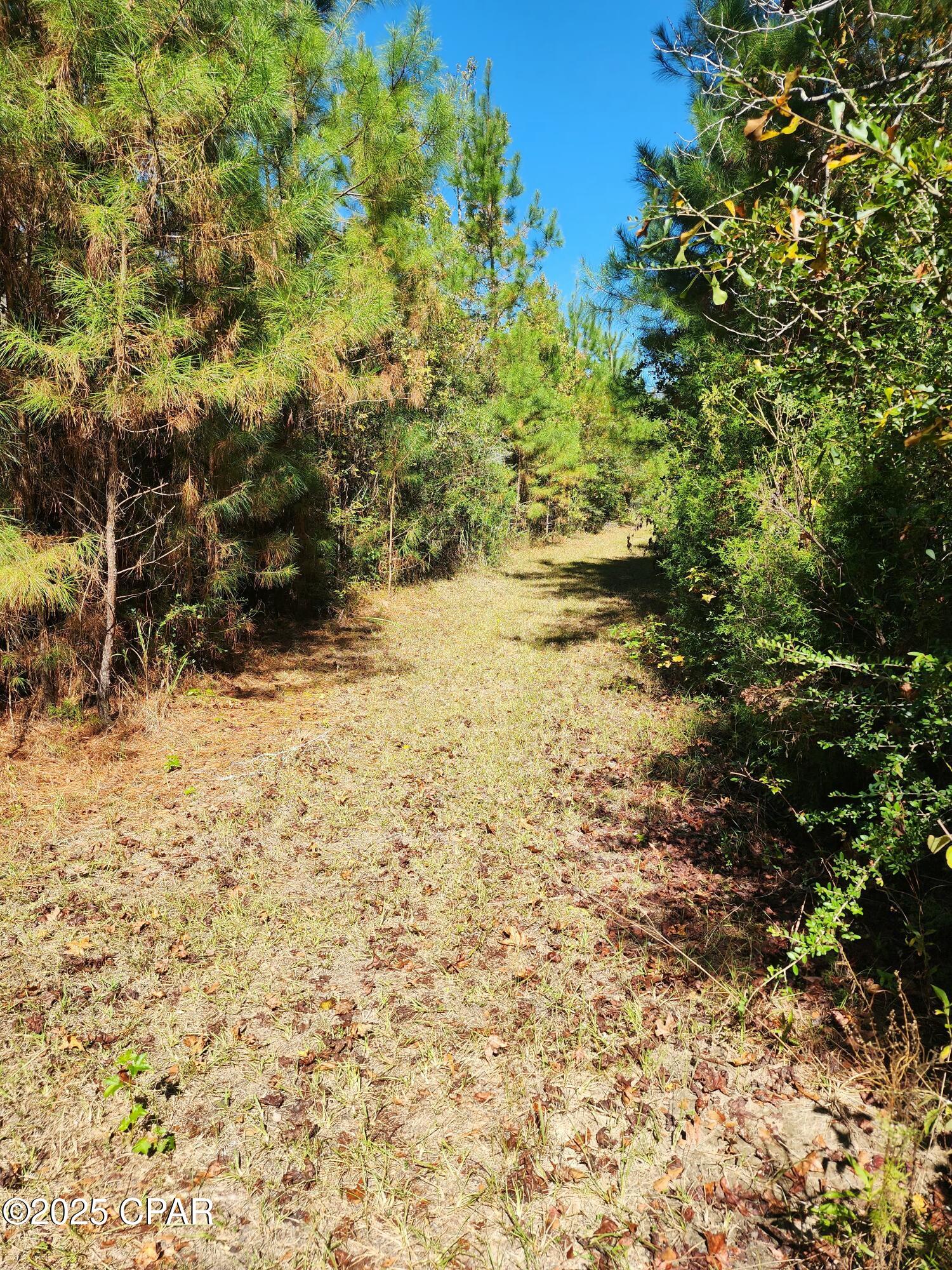 0 Pineridge Church Road Marianna, FL 32448 - Photo 27 of 33