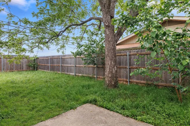 a view of a backyard with a tree