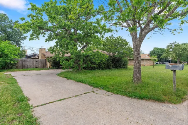 a view of a yard with plants and trees