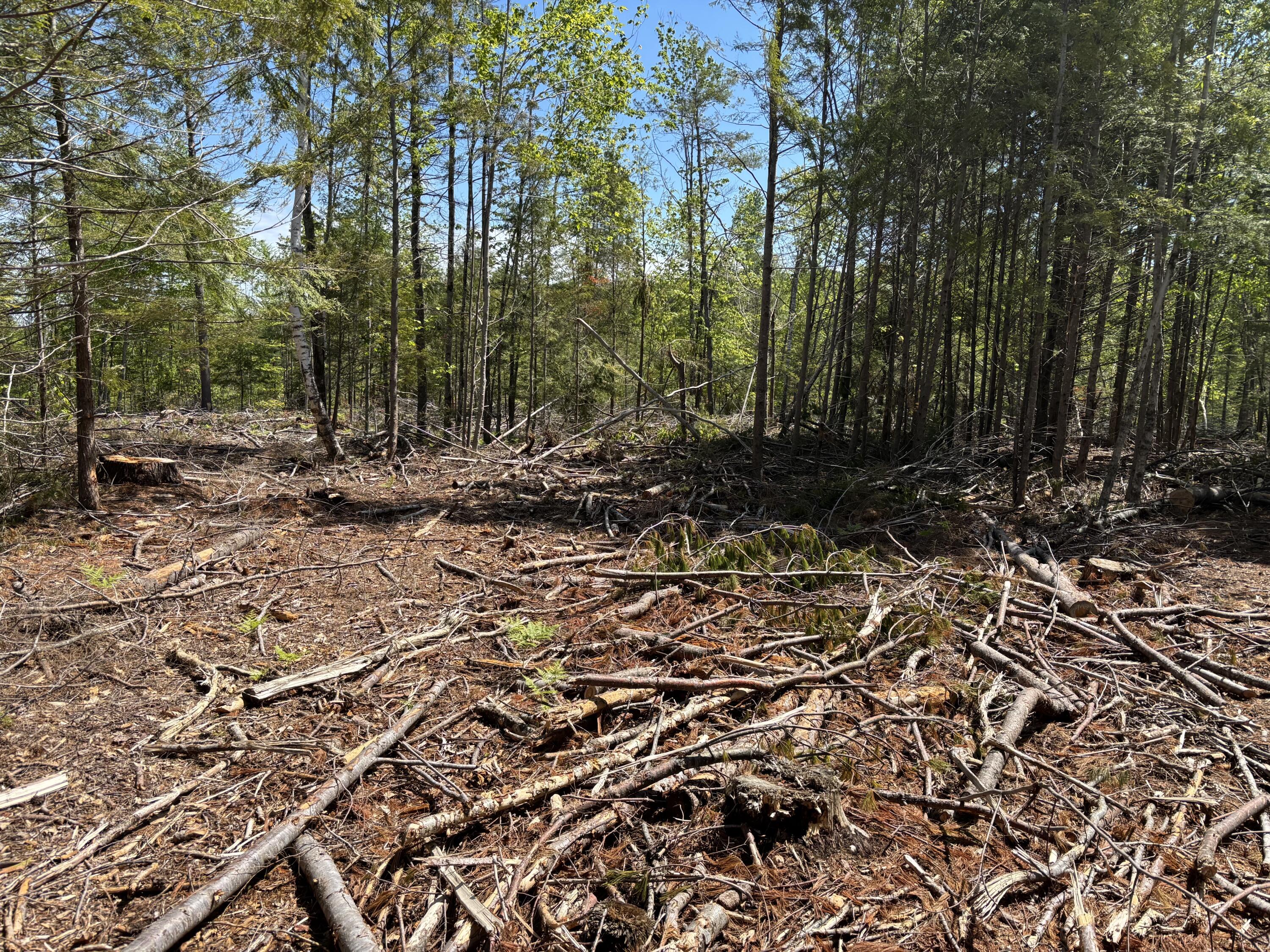 2-l 1 Off Bean Road Mercer, ME 04957 - Photo 6 of 14 IMG_2345