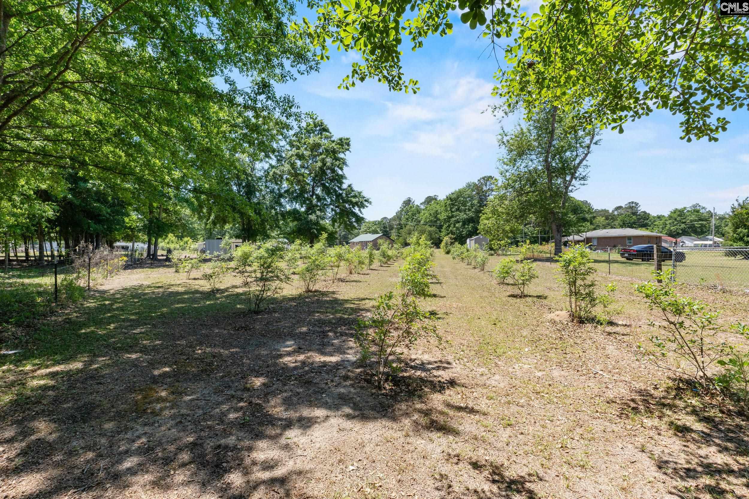 1633 Shillings Bridge Road Orangeburg, SC 29115 - Photo 25 of 43