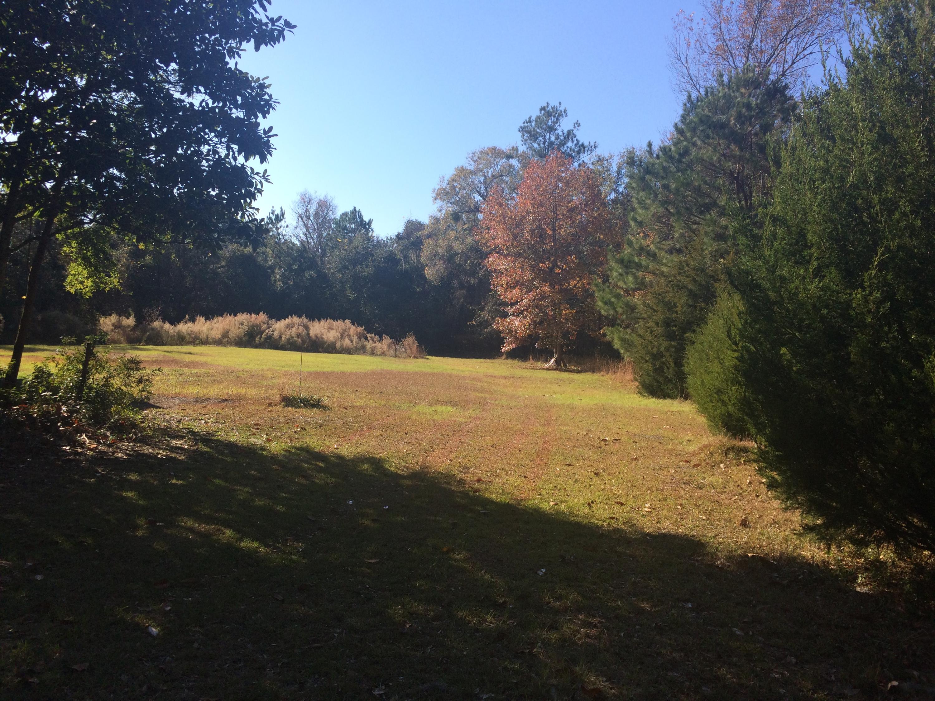 2655 Preserve Road Johns Island, SC 29455 - Photo 2 of 14 IMG_7392