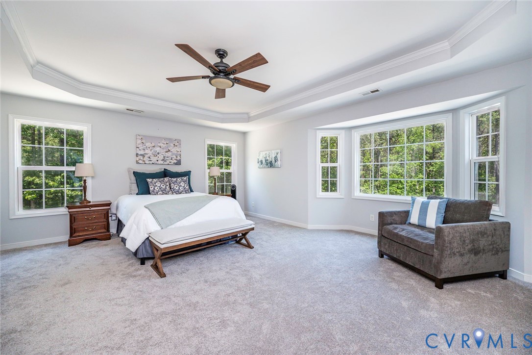 9101 Beaver Bridge Road Moseley, VA 23120 - Photo 38 of 61 Tray Ceiling