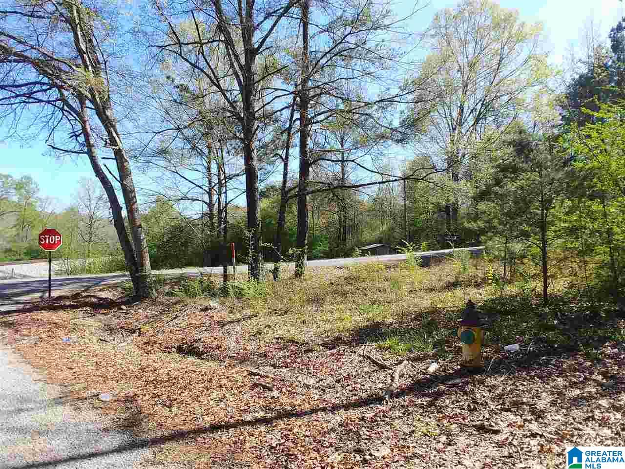 0 Roberts Mill Pond Road, Unit 1 39 Pell City, AL 35128 - Photo 6 of 29