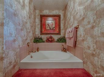 4042 Alt Road Wildwood, MO 63025 - Photo 29 of 33 Gallery Image 29