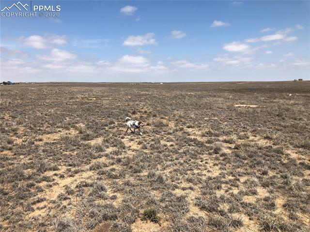 Tbd Tbd Unknown Road Rush, CO 80833 - Photo 18 of 25