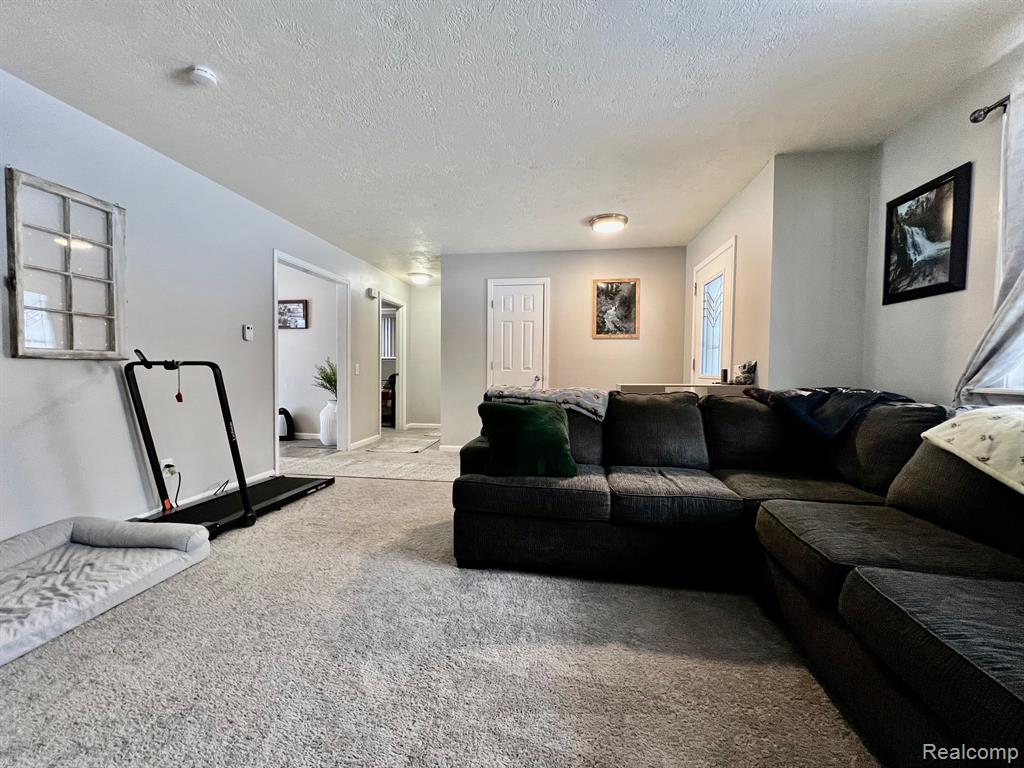 4245 Peck Road Port Huron, MI 48060 - Photo 3 of 30