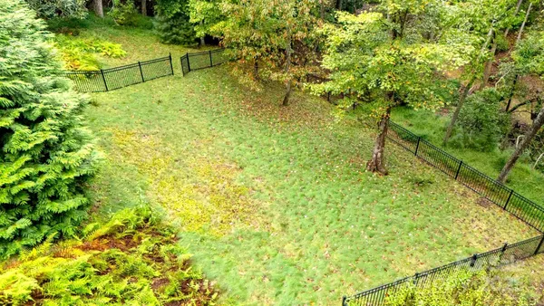 a view of a green field with lots of bushes