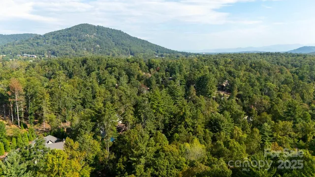 $3,950,000 | 23 Dividing Ridge Trail, Arden, NC 28704