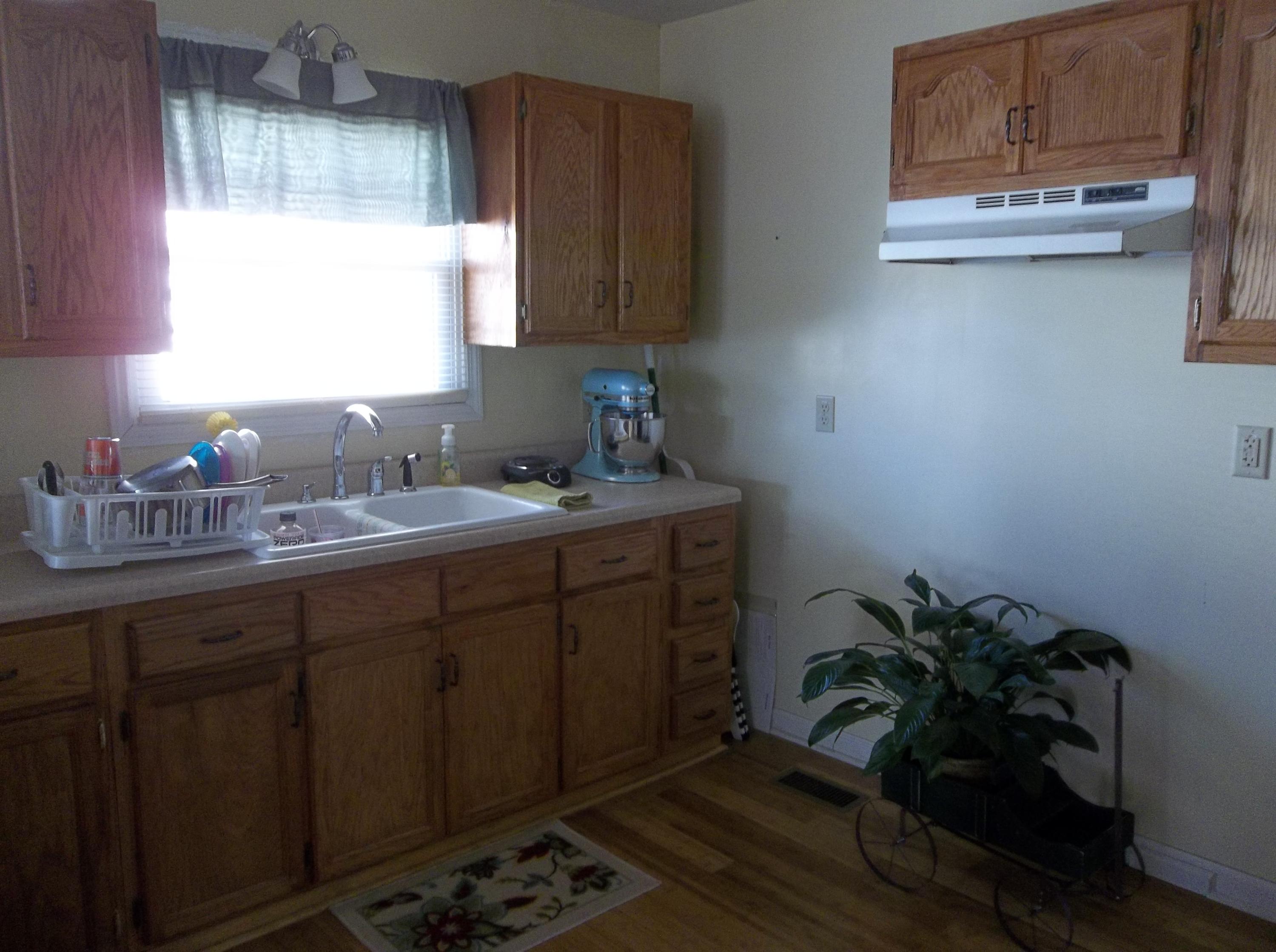 97 Spring Street Pikeville, TN 37367 - Photo 4 of 22 100_3756