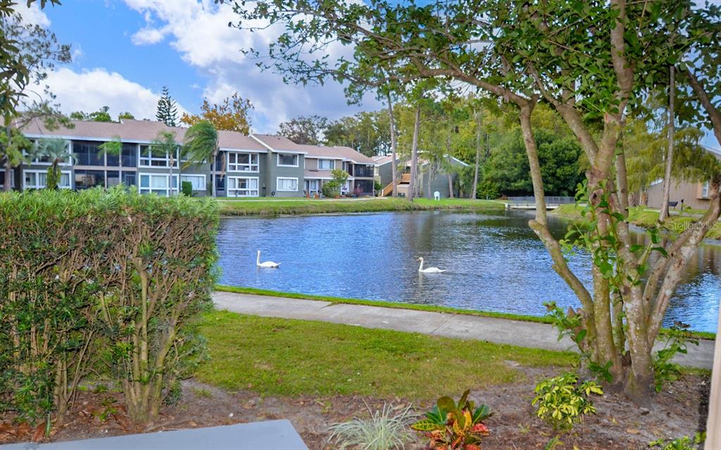 5929 Windhover Drive, Unit A02 Orlando, FL 32819 - Photo 16 of 17 a view of a house with a yard
