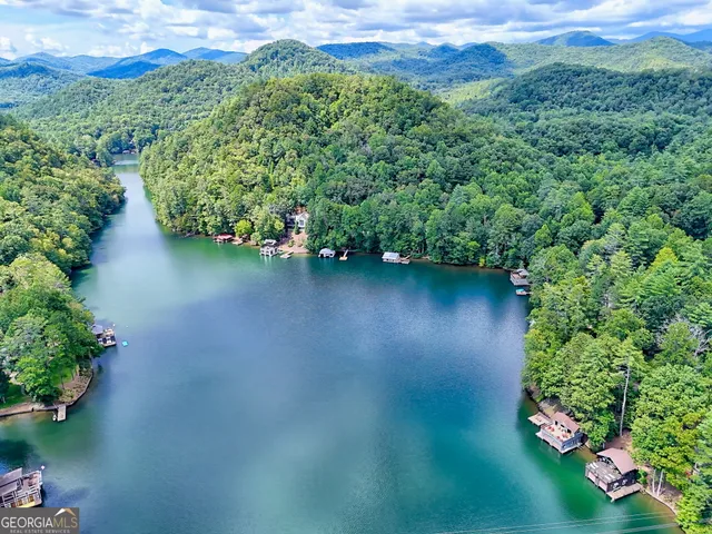 $2,650,000 | 22 Cajun Loop, Clayton, GA 30525