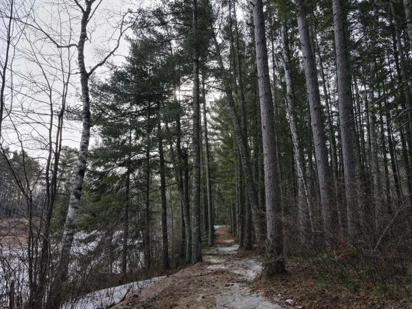 $215,000 | Tbd Prairie Lake Drive, Grand Rapids, MN 55744