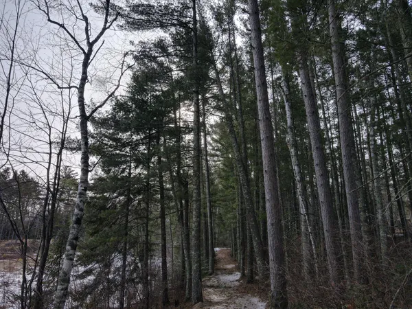 $215,000 | Tbd Prairie Lake Drive, Grand Rapids, MN 55744