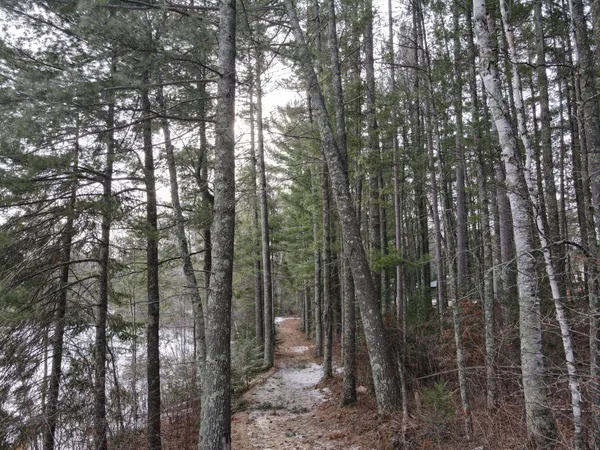 $215,000 | Tbd Prairie Lake Drive, Grand Rapids, MN 55744