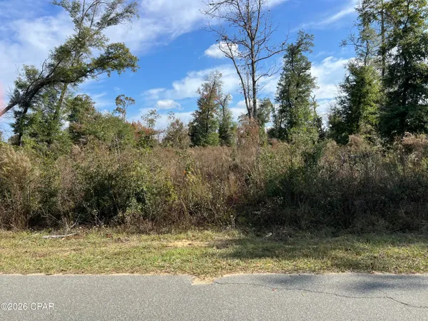 $30,000 | 0 Magnolia Blossom Lane, Marianna, FL 32446