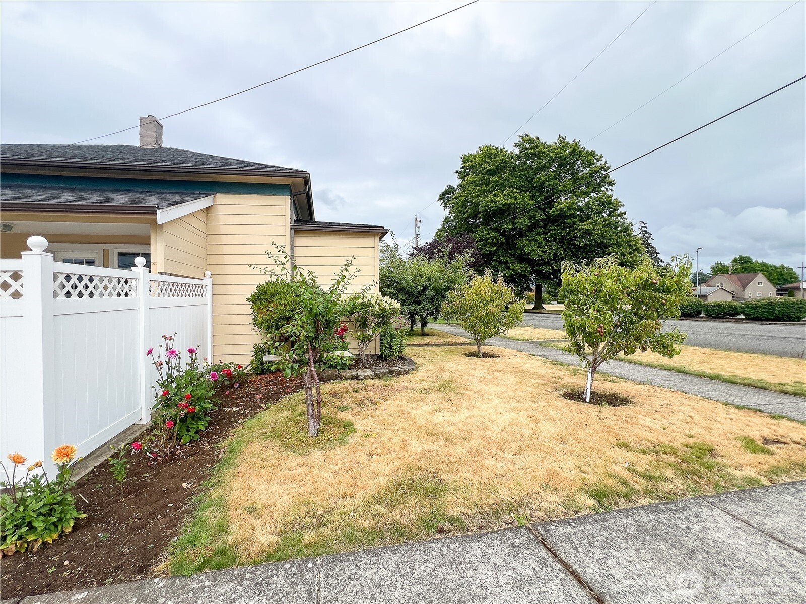 518 Edson Street Lynden, WA 98264 - Photo 26 of 31 a view of a backyard of the house