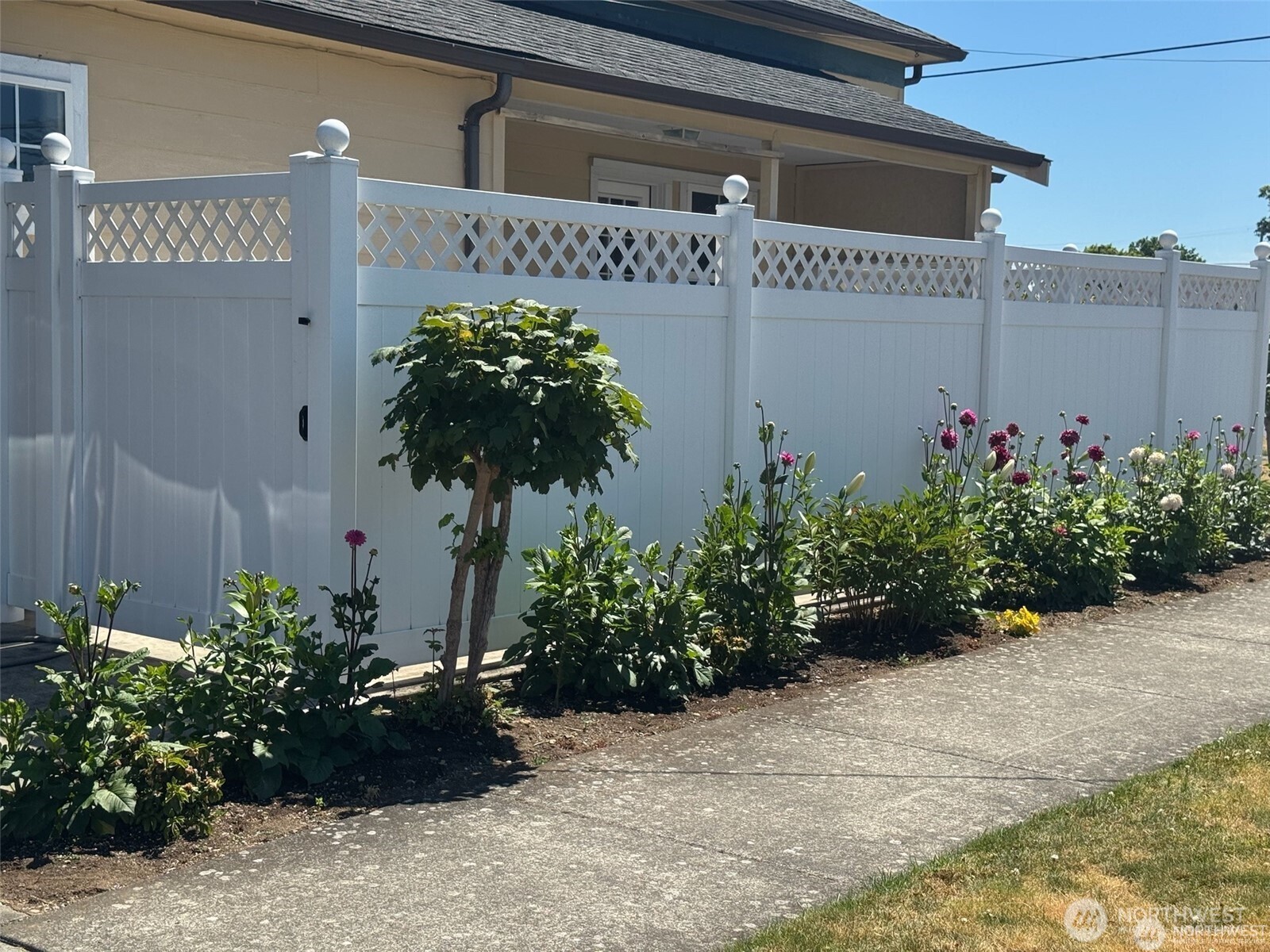 518 Edson Street Lynden, WA 98264 - Photo 3 of 31 a potted plant sitting on the side of a building