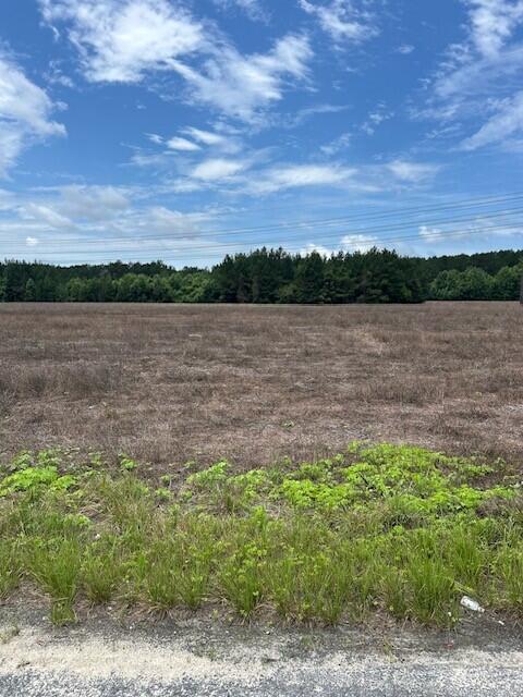 Lot B-6 Reeves Farm Road St. George, SC 29477 - Photo 3 of 5 3