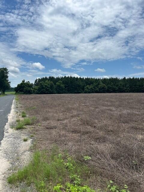 Lot B-6 Reeves Farm Road St. George, SC 29477 - Photo 4 of 5 4