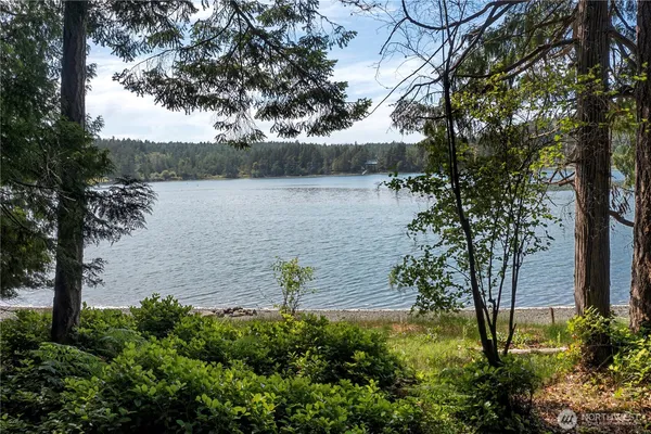 a view of a lake with a tree