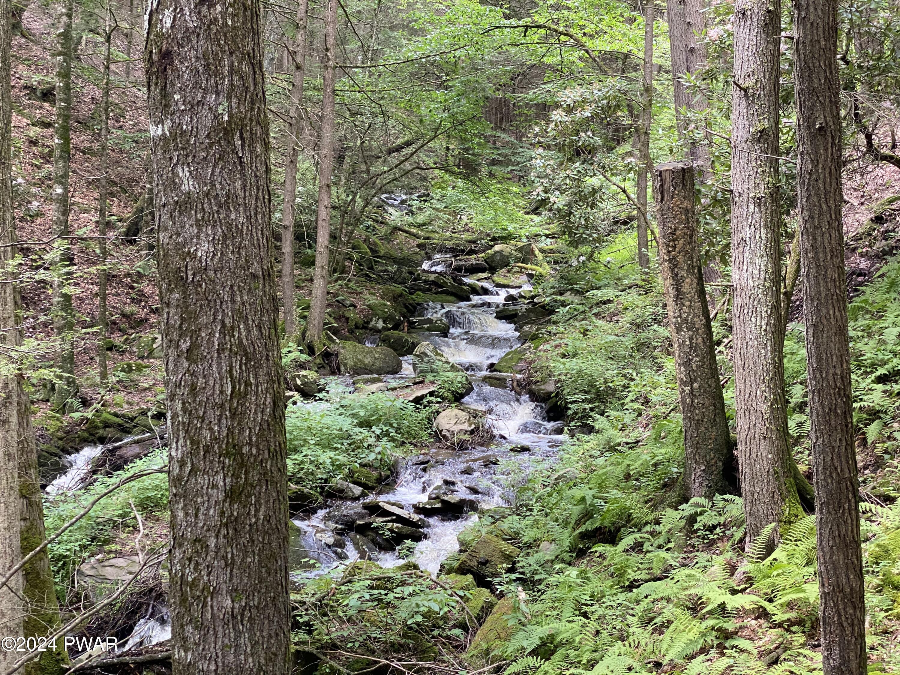 850 Conklin Hill Road Damascus, PA 18415 - Photo 4 of 42 Waterfall