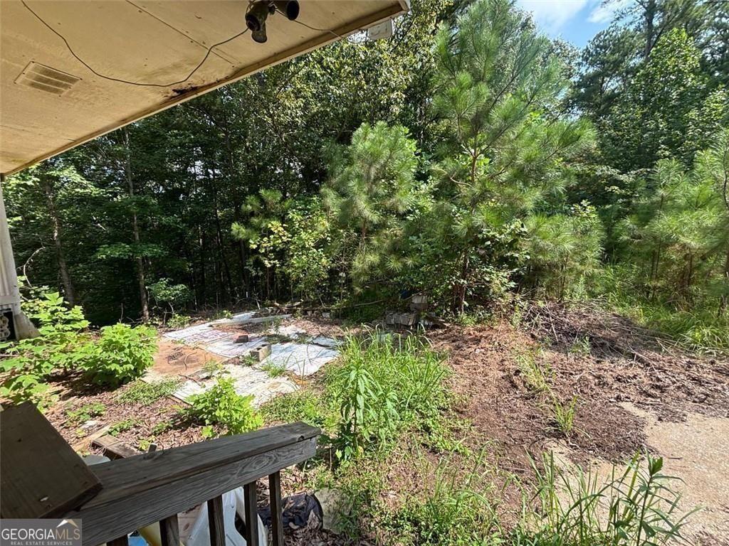 366 Tallapoosa East Church Road Buchanan, GA 30113 - Photo 5 of 14