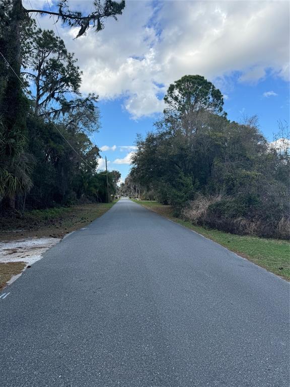 Cove Road Tavares, FL 32778 - Photo 7 of 16 a view of a field with a tree