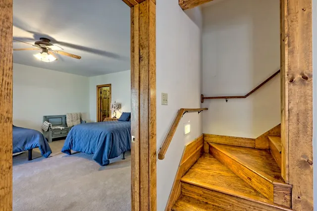 a view of a tree in a yard