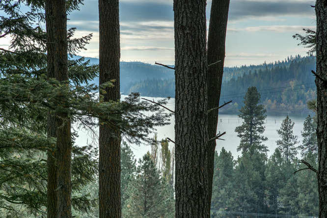 Nna South Old Jellum Road Coeur D'Alene, ID 83814 - Photo 1 of 1 Old Jellum Road Property CdA-small-014-2