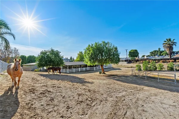a view of a yard with a tree