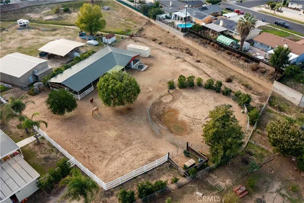 a view of a yard with plants and trees