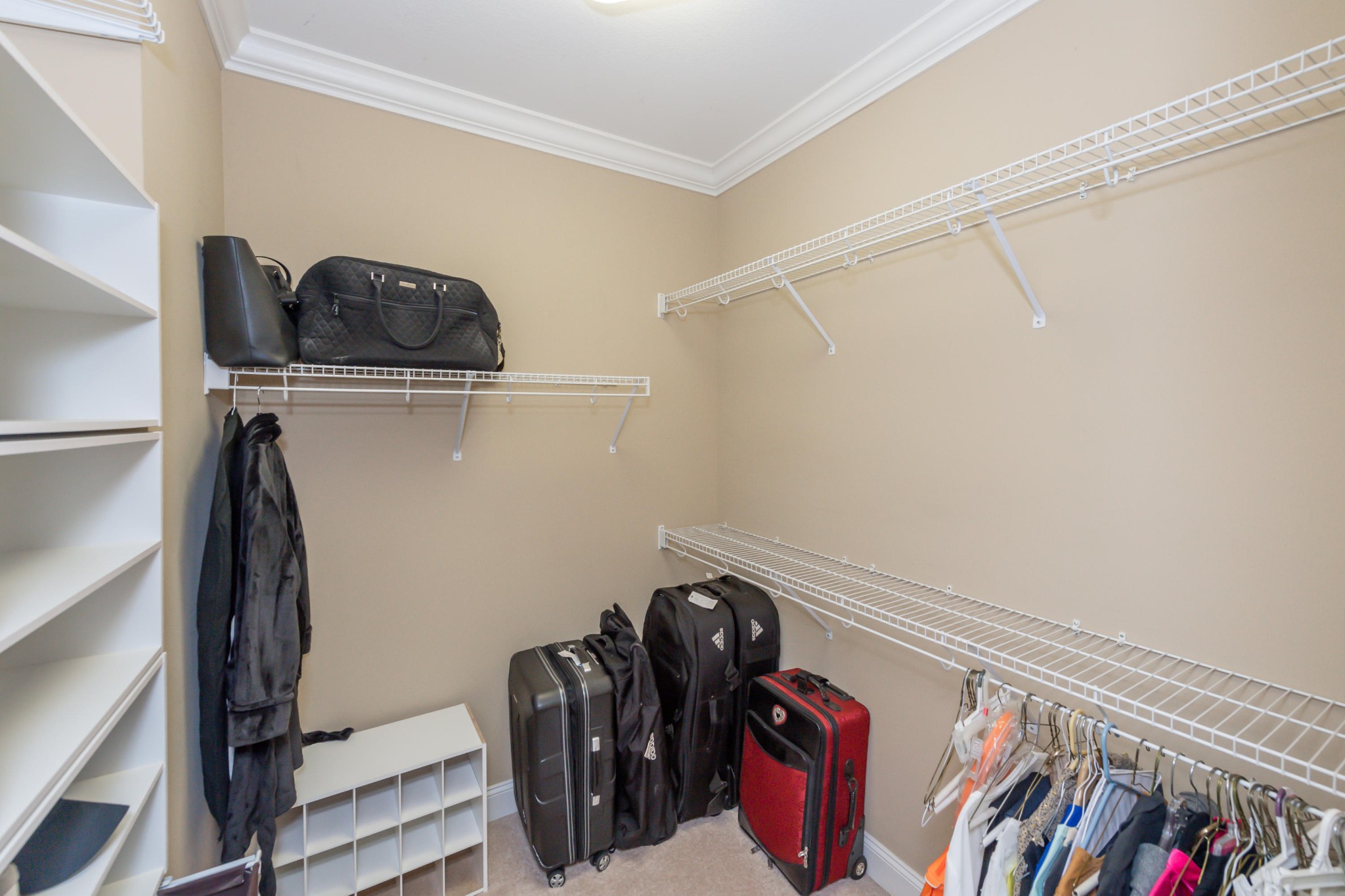 1833 Duncan Road, Unit 104 Knoxville, TN 37919 - Photo 19 of 36 a view of walk in closet with clothes and shoes