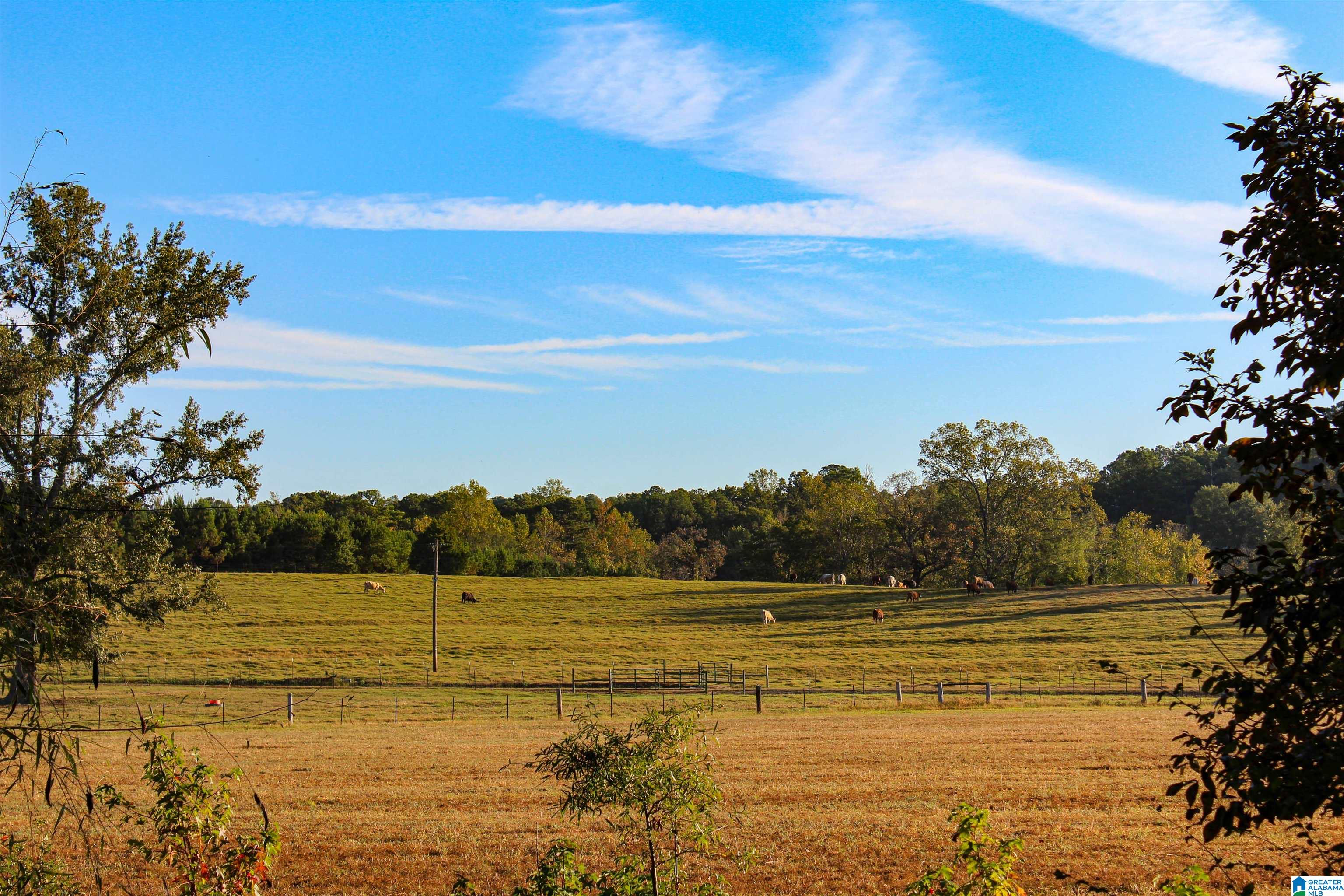 845 Turner Road Fayette, AL 35555 - Photo 49 of 61