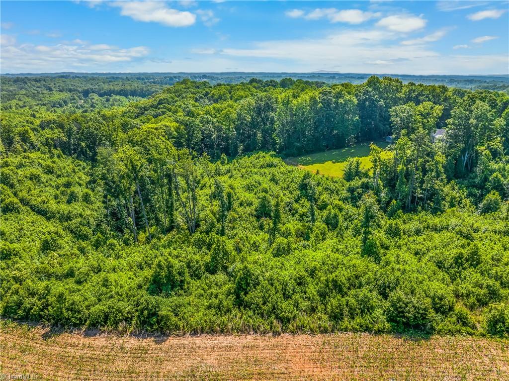 3323 Rockford Road Dobson, NC 27017 - Photo 43 of 49